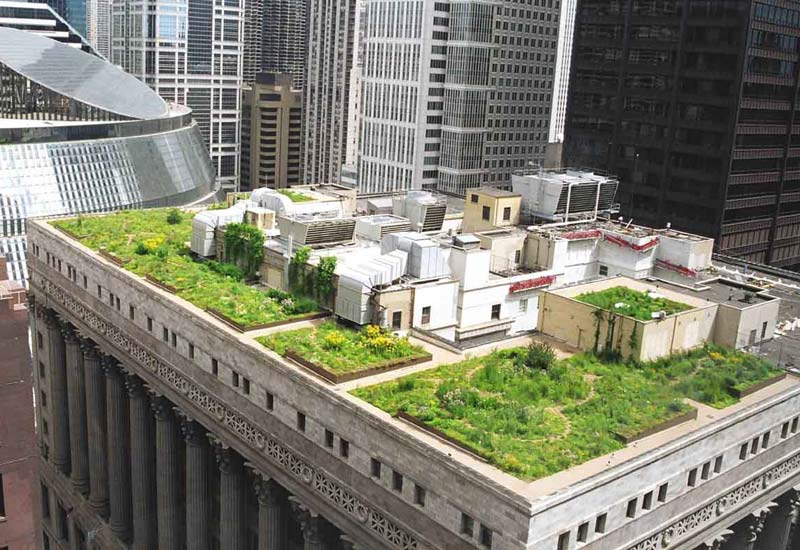 Toronto Mandates Green Roofs Mep Middle East