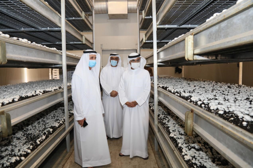 Agri-tech, MEP and HVAC, Minister of Climate Change and Environment, MOCCAE Agri-tech, MEP and HVAC, Minister of Climate Change and Environment, MOCCAE